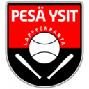 Pesä Ysit