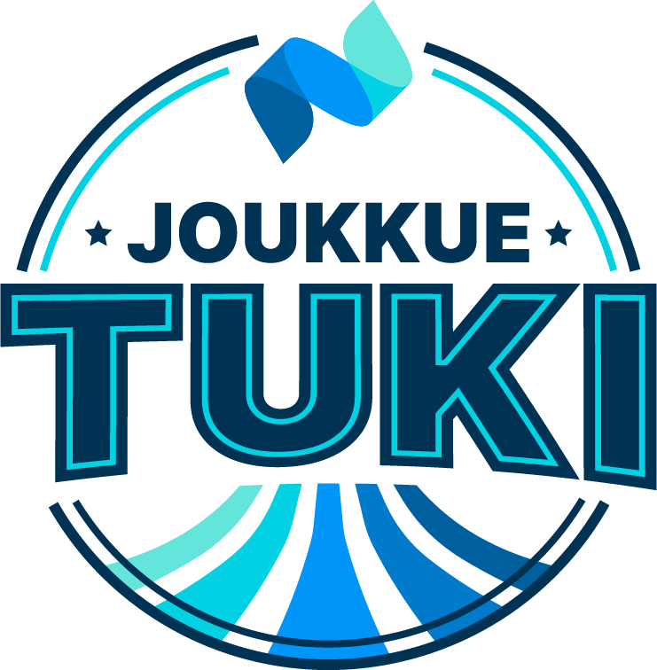 Netvisor Joukkuetuki
